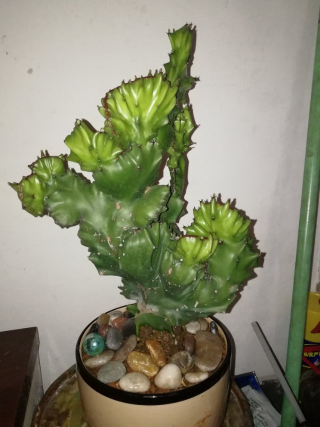 ҵ