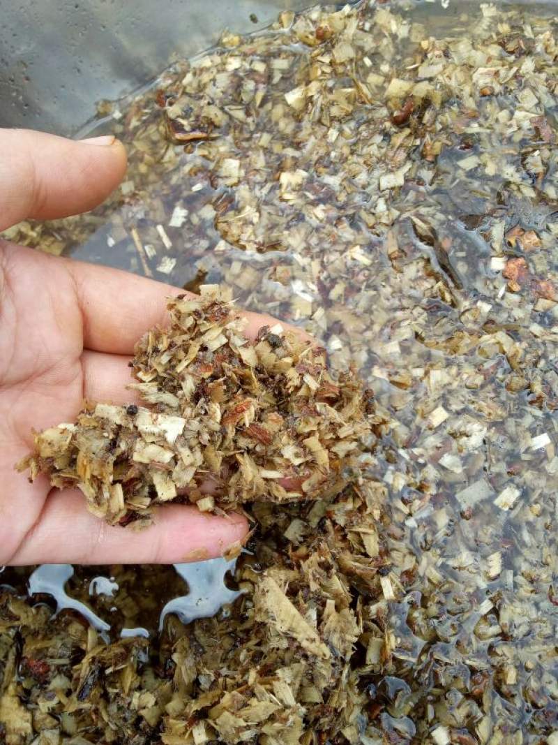 锯末发酵家庭最简单的方法