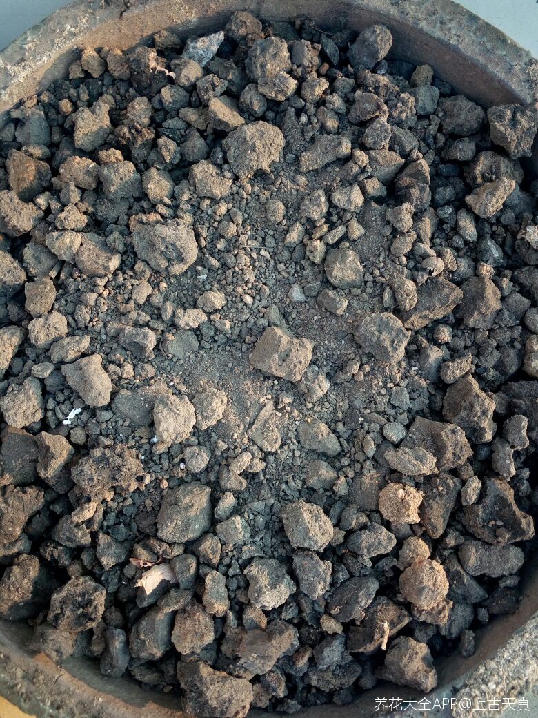 请问各位花友时间久远的池塘底很硬的黑泥块适合种花吗
