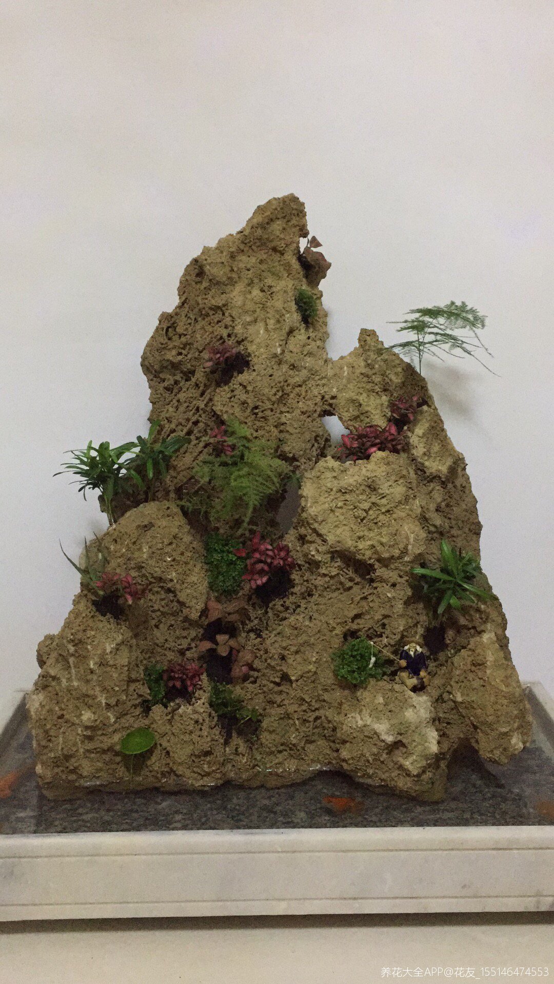 青山绿水之上水石盆景