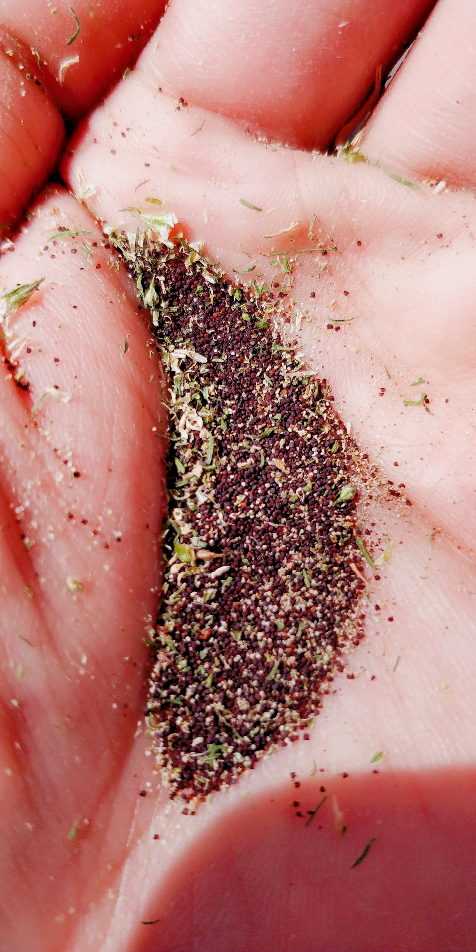 满天星结种子了