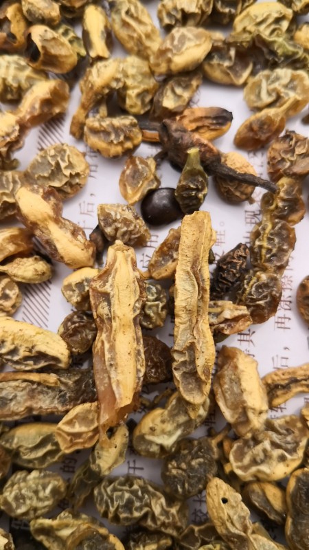 这是什么药材