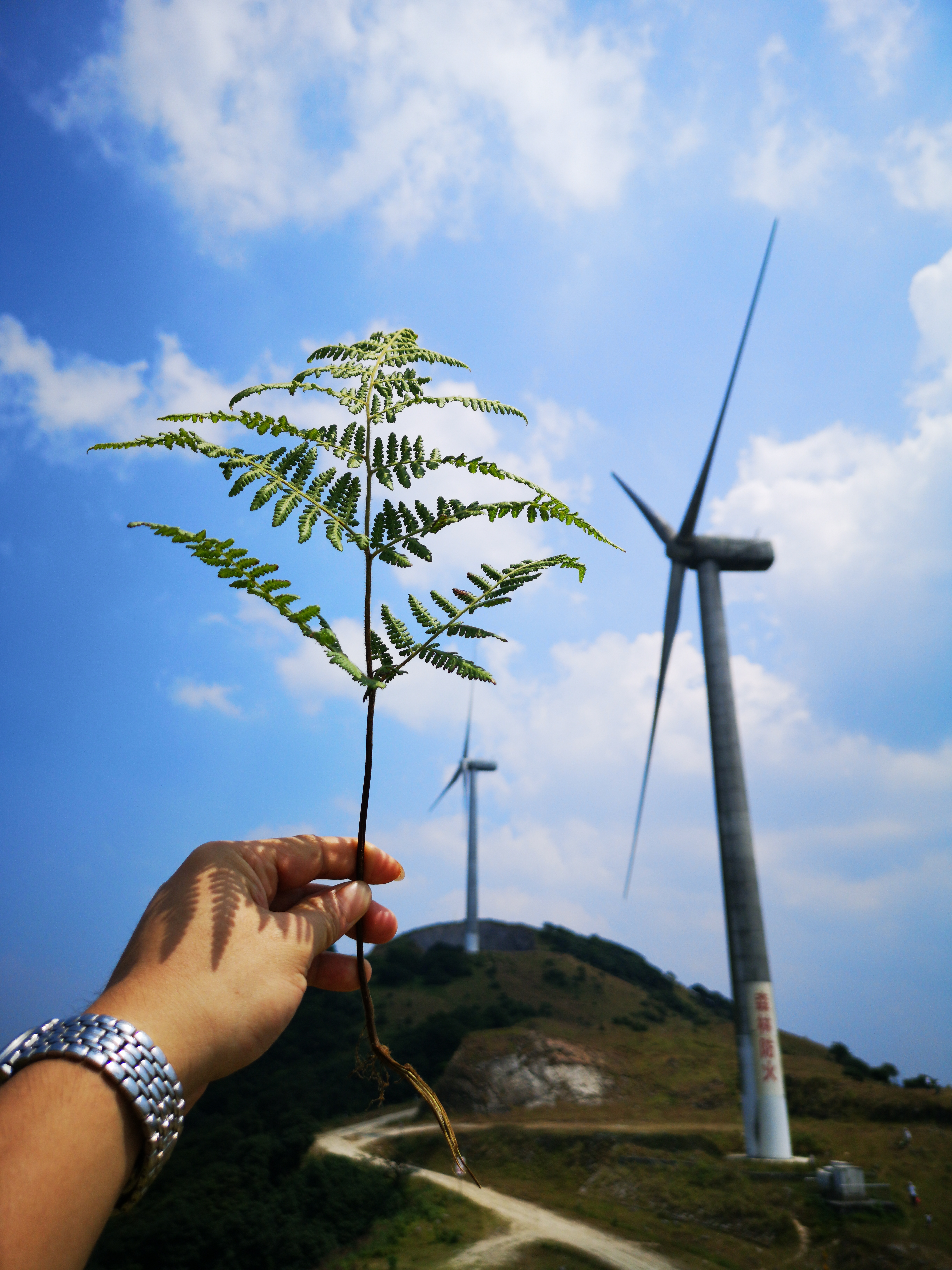 十一国庆节爬山踏青随拍