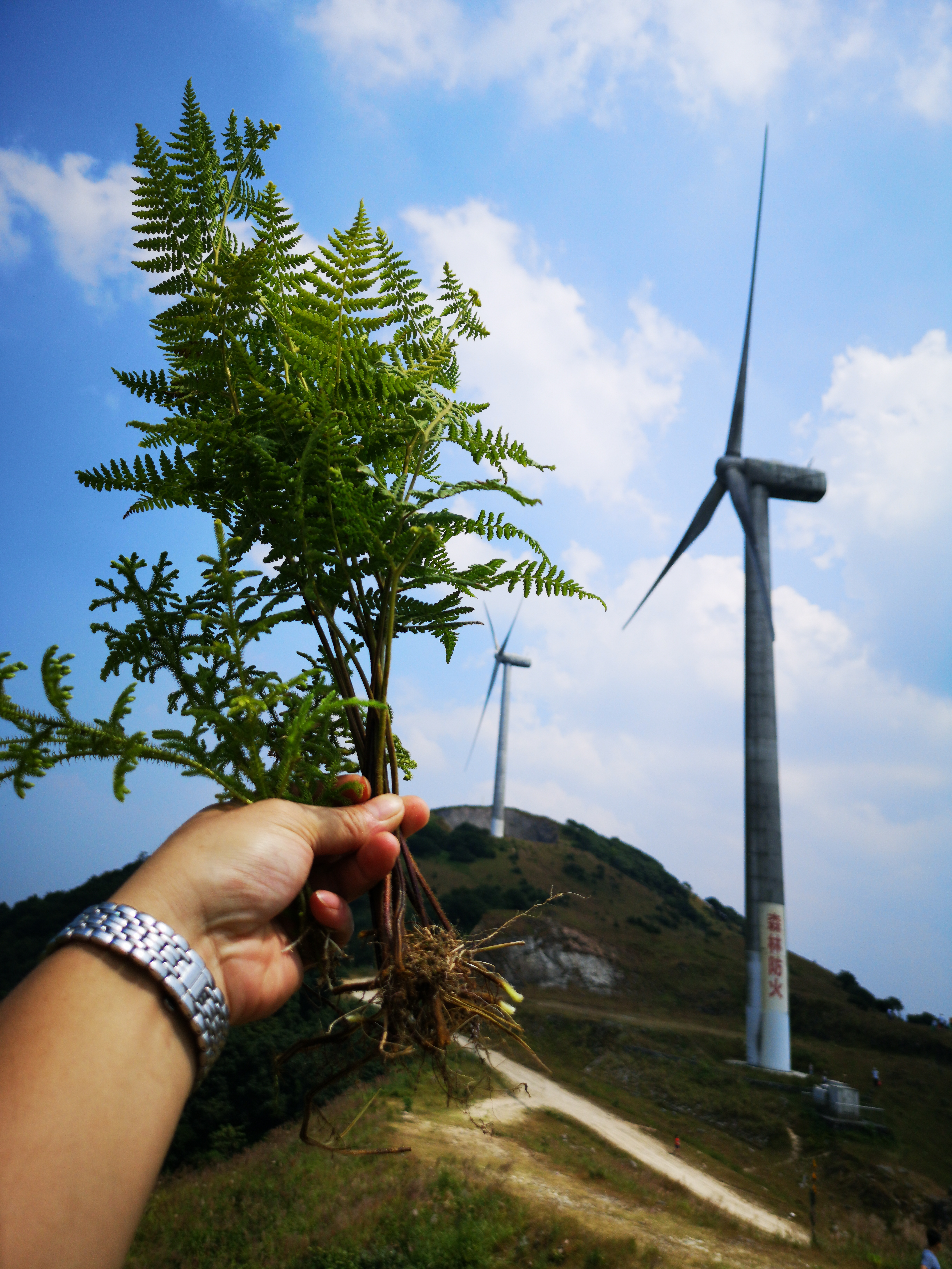 十一国庆节爬山踏青随拍