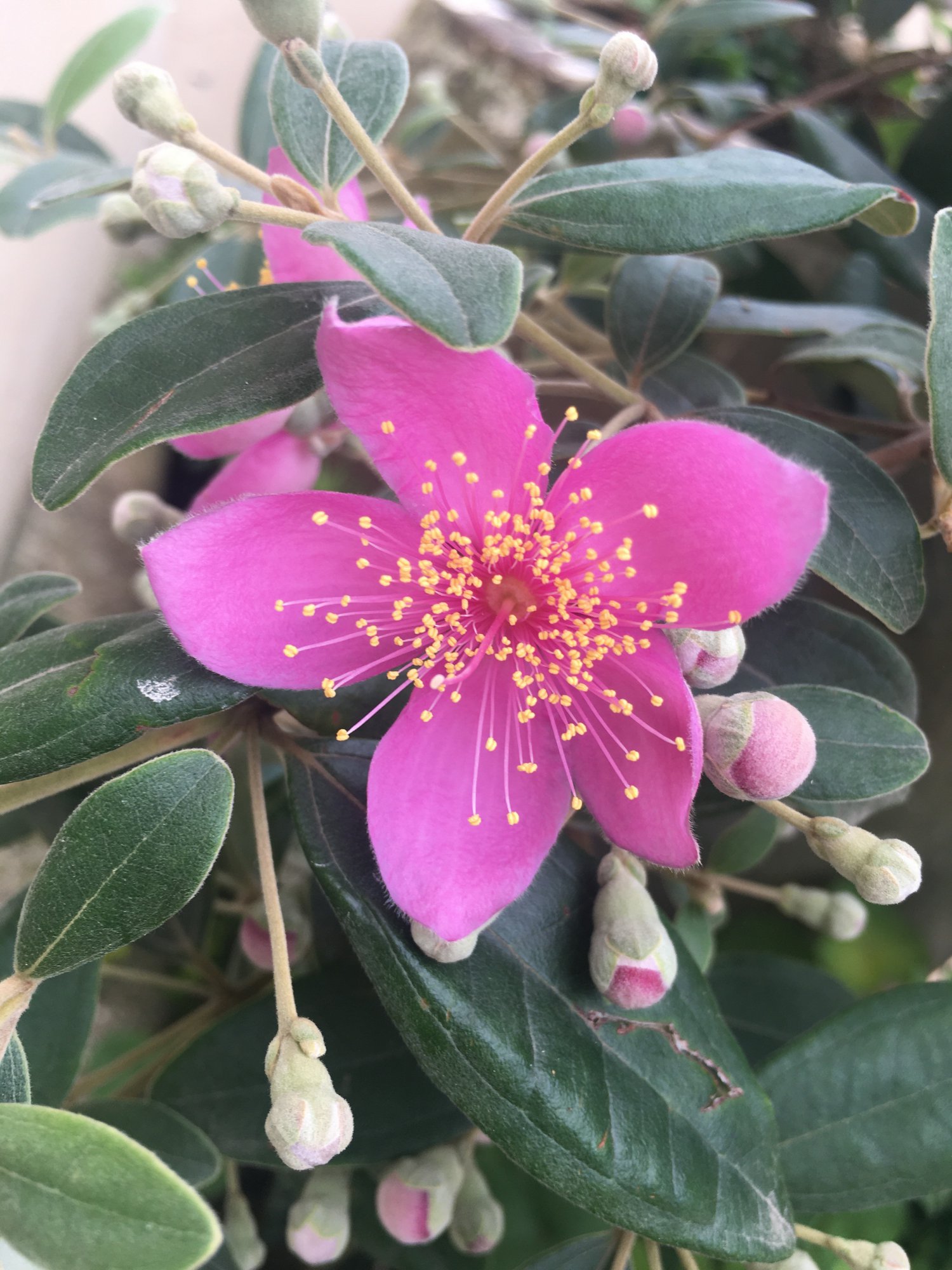 今天金娘子终于开了我也上班去喽真是好兆头